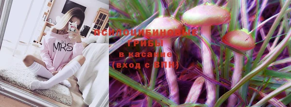 винт Алексеевка