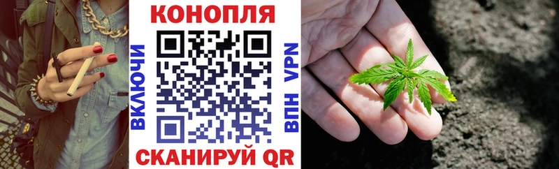 Шишки марихуана план  сайты даркнета состав  Дедовск  где продают наркотики 
